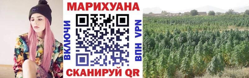 Купить наркотик Звенигово COCAIN  Мефедрон  Гашиш  Псилоцибиновые грибы  Канабис  СК 