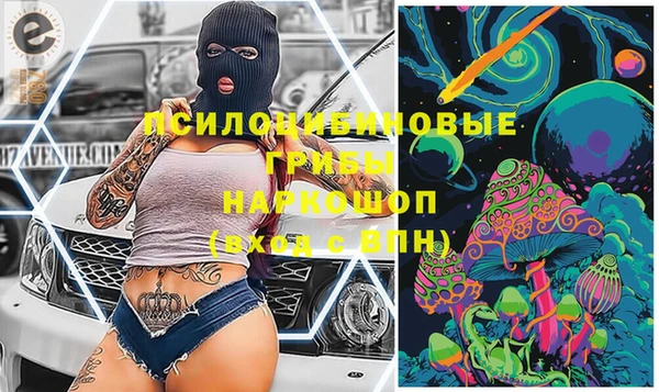 МДПВ Алексеевка