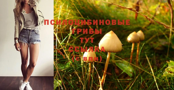 МДПВ Алексеевка